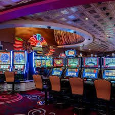 333bet vip