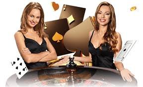 333bet vip
